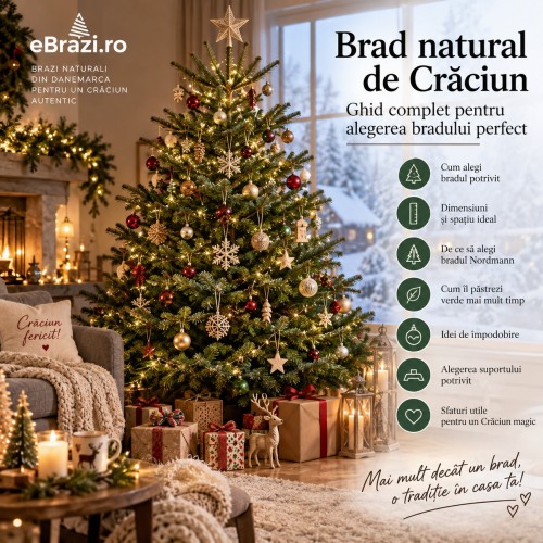 Brad natural de Crăciun – Ghid complet pentru alegerea bradului perfect 2026-2027