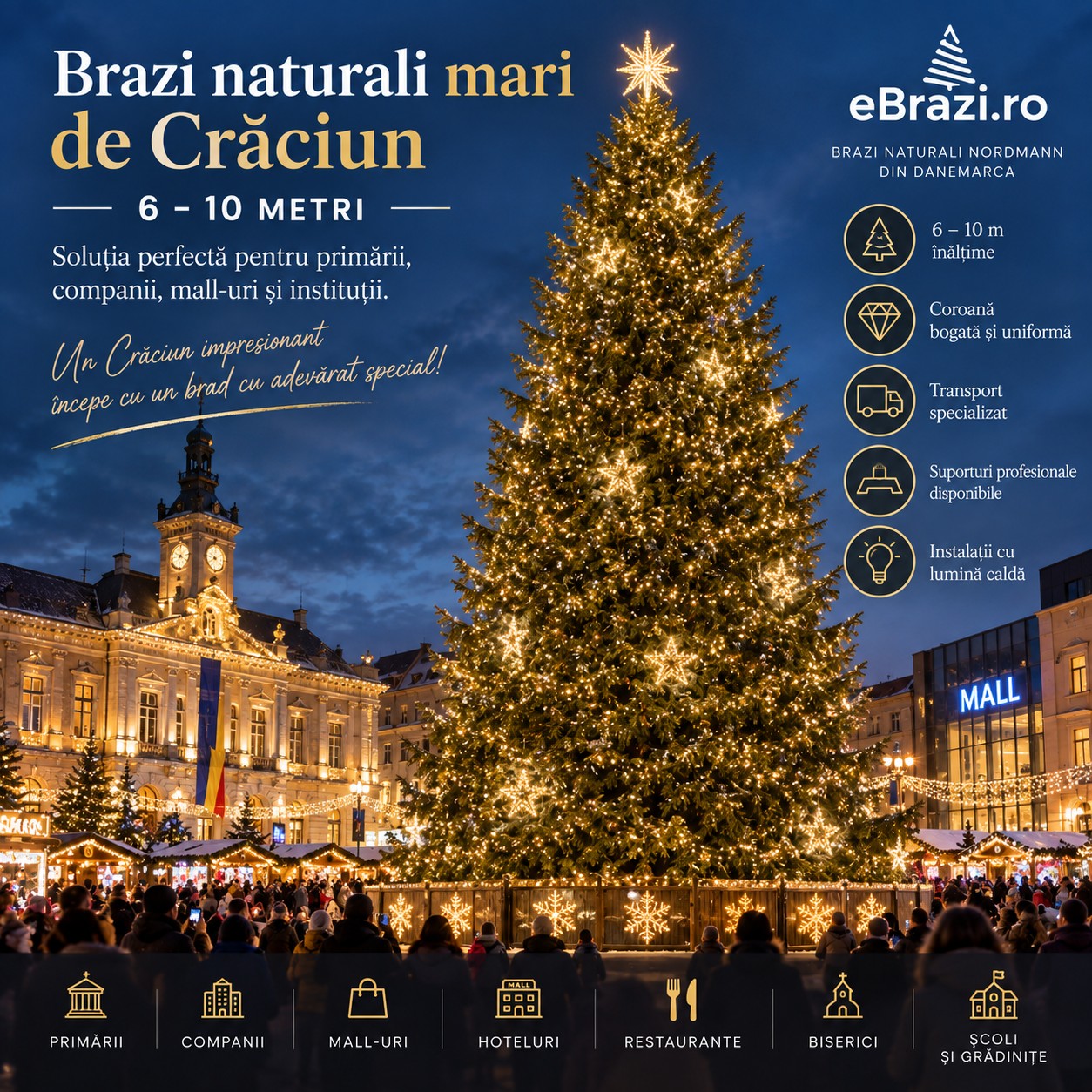 Brazi Naturali Mari de Crăciun 5–10 Metri pentru Primării, Companii și Spații Comerciale