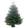 TOP QUALITY Nordmann Christmas Tree 2-2,25m   540 RON 