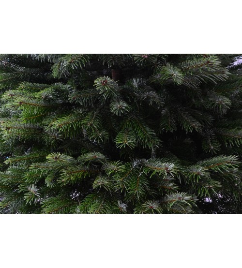 TOP QUALITY Nordmann Christmas tree 4-4,5m