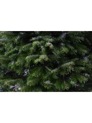 Brad Natural de Craciun Nordmann Premium 175-200 cm